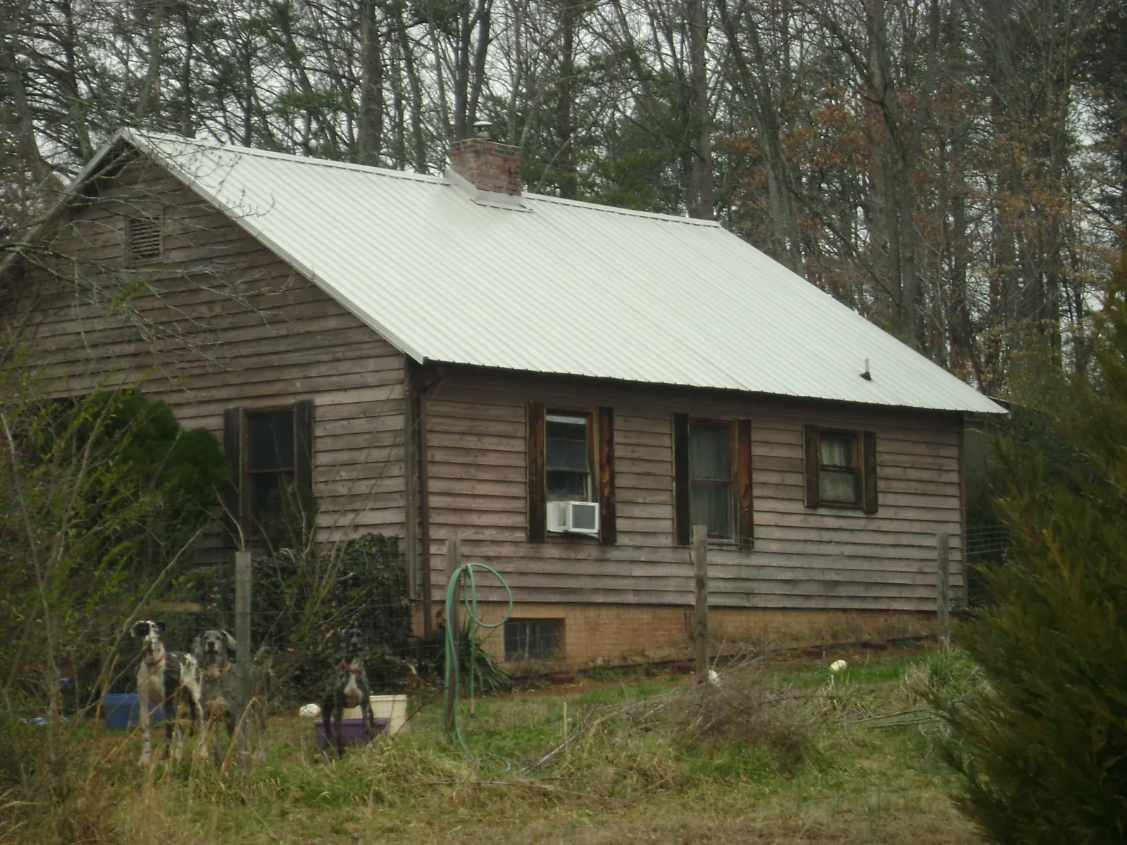 White metal roof on an old wood sided farmhouse, from a Asphalt Shingle Roof Repair job in Lennon